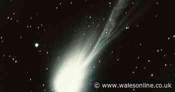 Comet Swan hurtling towards the Sun can now be seen from Earth