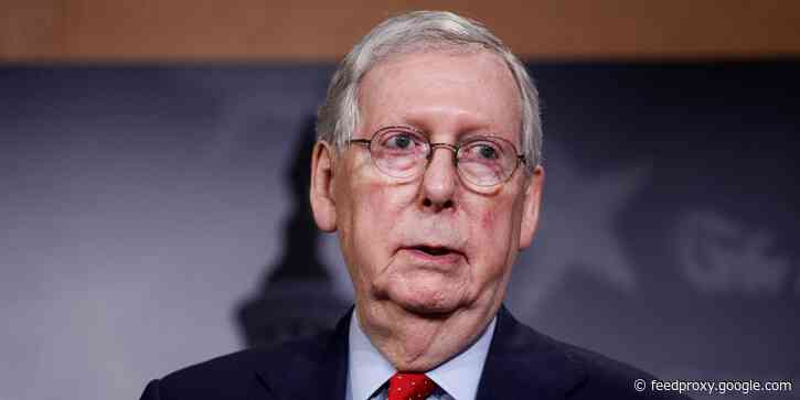 Mitch McConnell railed against House Democrats' plan to send $1,200 stimulus checks to immigrants left out of initial wave of federal payments