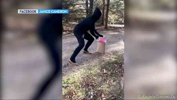 Alberta Wine Ninjas spreading smiles to those in isolation