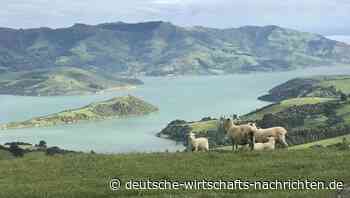 Die Superreichen kaufen Corona-Bunker in Neuseeland