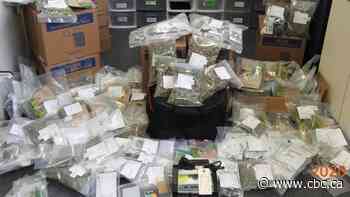 CannaBusted: Edmonton police crack down on illegal weed delivery service