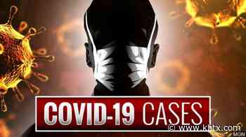 Houston County sees jump in COVID-19 cases after inmates included in count - KBTX