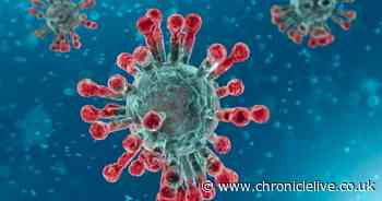 Coronavirus infection rate in the UK rises to almost one