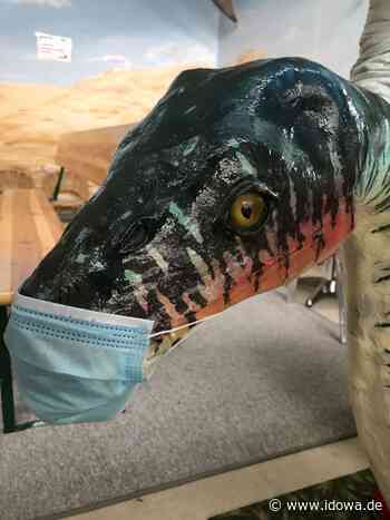 Taufkirchen: Urzeitmuseum öffnet wieder - Masken für Dinos - Moosburger Zeitung