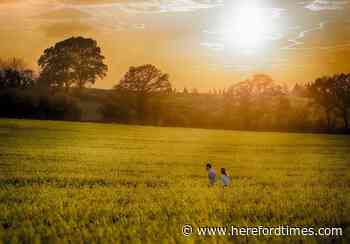 Even less time spent in Herefordshire's parks as lockdown continued - Hereford Times