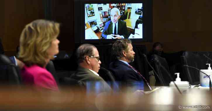 Rich Lowry: If Fauci didn’t exist, we’d have to invent him