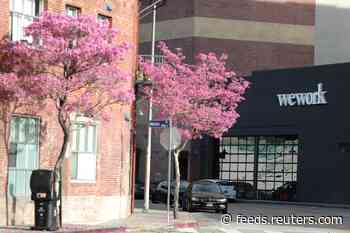 WeWork reports slower cash burn in first quarter: CFO email
