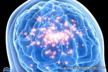 Brain implant is the first step toward returning sight to the sightless