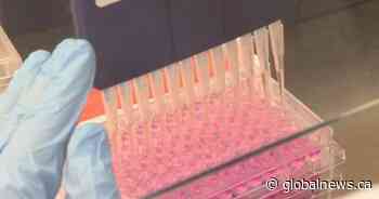 Alberta allows outdoor gatherings of up to 50 people with physical distancing