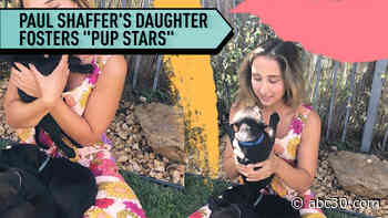Paul Shaffer's daughter fosters puppies to stay positive
