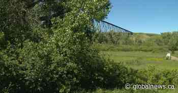 Lethbridge officials warn residents to abide by COVID-19 rules during May long weekend