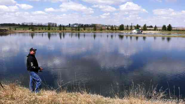 It's a fishy tale and that's no bull: Wes David's journey from bull rider to walleye wizard
