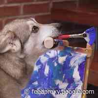 Buy A Painting By This Dog And Get Free Weed