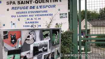 La SPA de Rouvroy, près de Saint-Quentin, reprend peu à peu une activité normale avec le déconfinement - L'Aisne Nouvelle