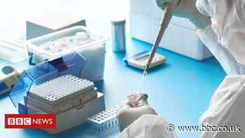 Covid antibody test a 'positive development'