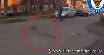 Watch: Dangerous biker snared by police after high-speed chase during lockdown