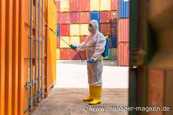 Einbruch bei Handel und Direktinvestitionen: Wir erleben das Ende der Globalisierung