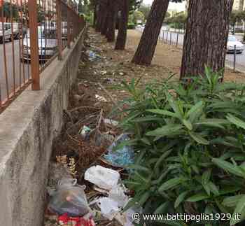 Battipaglia. La protesta. Rifiuti non rimossi dopo il taglio dell'erba - Battipaglia 1929