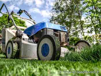 Erba alta: diamoci un taglio - Green Planner