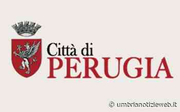 Perugia. Parchi e aree verdi/pubblicato il cronoprogramma dei tagli erba sul portale ambiente del comune - Umbria Notizie Web