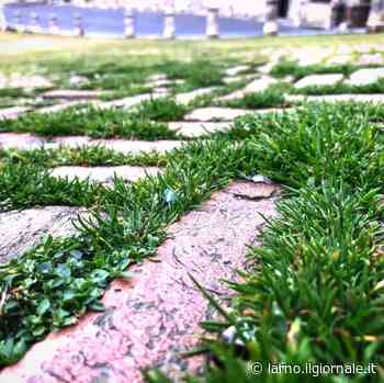 Solo erba in Piazza del Campo: Siena orfana del Palio – L'Arno.it - il Giornale