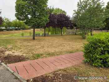 Sfalci erba, squadre al lavoro nei giardini e lungo marciapiedi - gonews