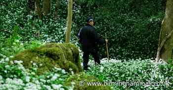 Woman appears in court over body in suitcases