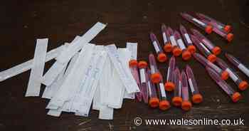 Welsh Government extends testing to all care homes