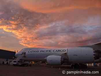 500000 3-ply medical face masks arrive at PDX from China for fighting COVID-19 - Portland Tribune