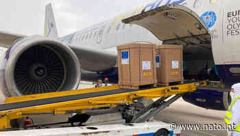 Coronavirus response: Second Dutch flight transports additional medical aid to Montenegro in response to COVID-19 - NATO HQ