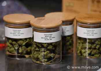 Medical marijuana shops can now sell recreational product in Jackson - MLive.com