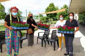 Clown Herbie brengt bezoek aan rustoord (Wellen) - Het Belang van Limburg Mobile - Het Belang van Limburg