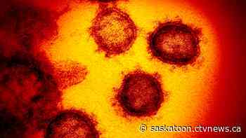 Presumptive case of COVID-19 in Lac La Ronge tests negative: SHA