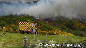 Fire crews battle 24-hour Castlewellan gorse and forestry fire