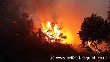 Firefighters battle Castlewellan forest fire
