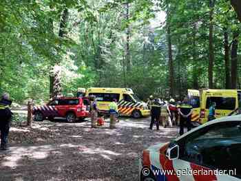 Man en vrouw gewond na incident met paardenkar, zoektocht naar slachtoffers in Lunterse Buurtbosch
