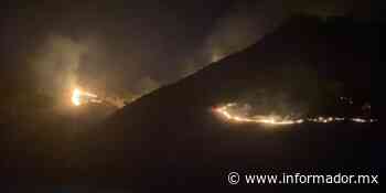 Combaten incendio forestal en San Esteban, Zapopan - EL INFORMADOR