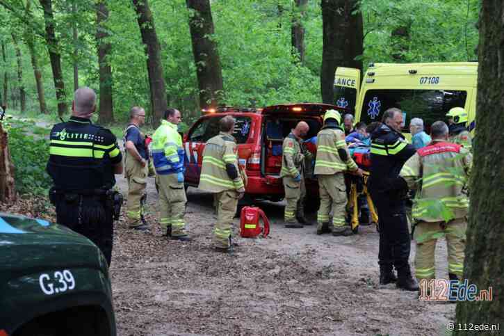 Twee gewonden bij ongeluk met paard en wagen in Lunteren [video]