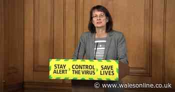 Government reviewing list of those most at risk from Covid-19