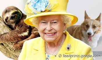 Royal pets: All the quirky animals the Queen owns - including a SLOTH