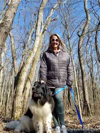 Entrepreneur diaries: Liz Blondy from Canine to Five - Concentrate