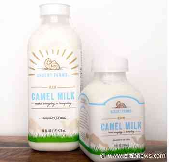 The Saudi entrepreneur keeping camel milk flowing in America - Arab News