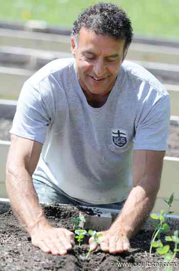 Health unit helps community gardens reopen
