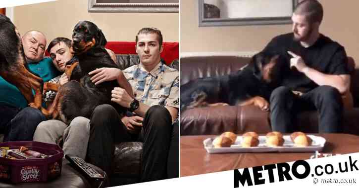 Gogglebox star sets dog Tik Tok Patience Challenge and it’s everything you need to see