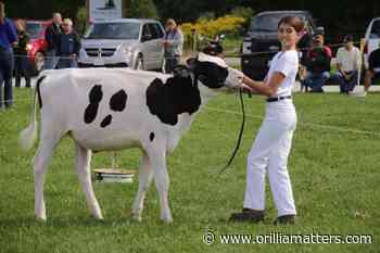 Fate of Orillia Fall Fair up in the air - OrilliaMatters