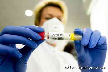 Ontario reports 391 new coronavirus cases, 33 new deaths - CityNews Toronto