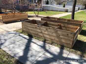 Saskatoon couple puzzled over city bylaw citation for boulevard planter boxes - News Talk 650 CKOM