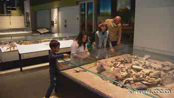 Royal Alberta Museum opens to public — with some changes