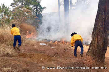 Este año, 25% menos daños por incendios en Parque Nacional de Uruapan - La Voz de Michoacán