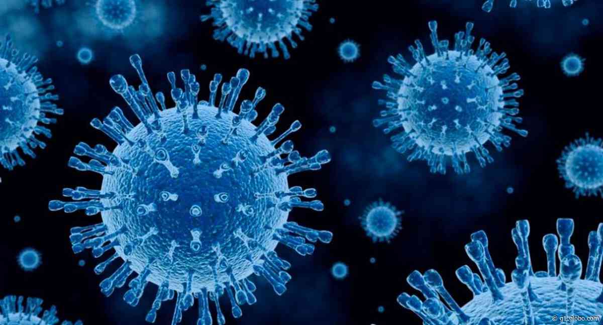 Coronavírus: Mococa confirma a 4ª morte por Covid-19; veja os registros desta quarta-feira - G1